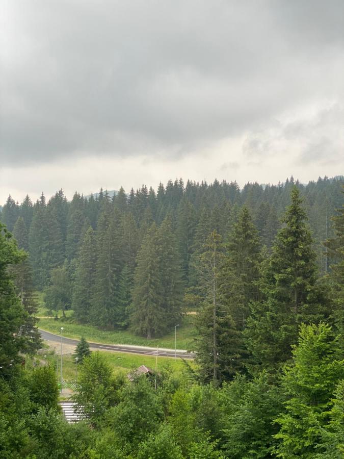 Silver Mountain C24 Royal Poiana Brasov Buitenkant foto